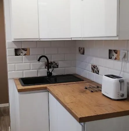 Lägenhet Apartament U Krzyzaka *